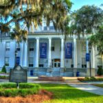 On Epiphany—Essay Letter to the President of Savannah State University (aka Negroes…! Get off the Damn Plantation!!)