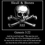 Myths vs. Facts (Part 10) – Skull and Bones